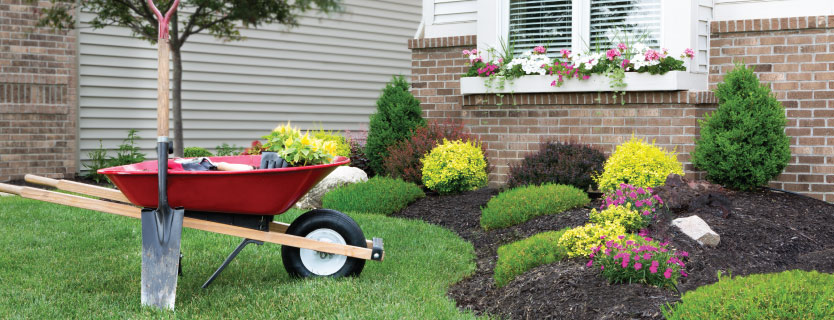 Landscaping Tips from Austin's Lawncare Blog