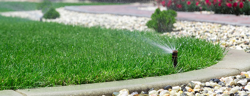 Lawn Irrigation Pros and Cons